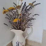Fran Apartament Baška