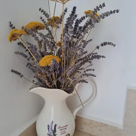 Fran Apartamento Baška